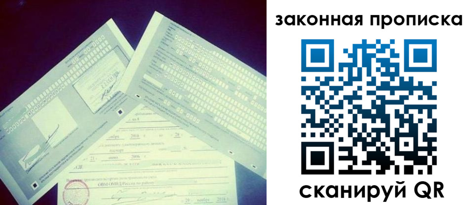 прописка поиск в Луге